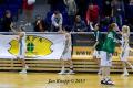 V play off s hradeckými Lvicemi