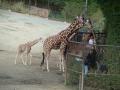 VALOSUN bavil děti v ZOO